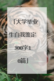 大学毕业生自我鉴定300字10篇