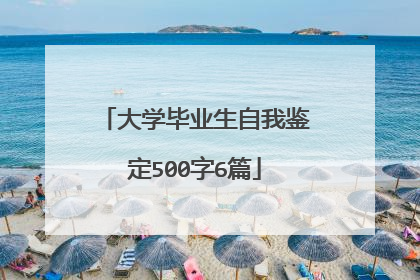 大学毕业生自我鉴定500字6篇