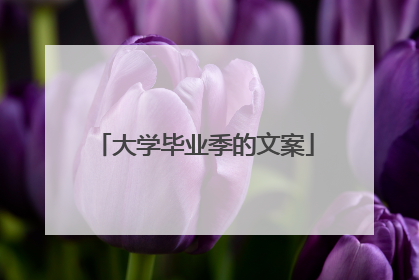 大学毕业季的文案