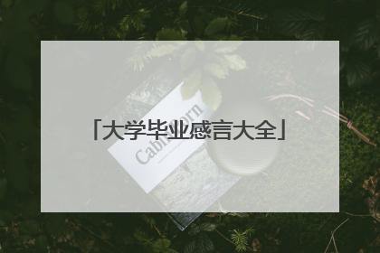 大学毕业感言大全