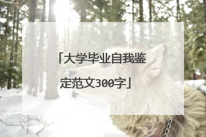 大学毕业自我鉴定范文300字