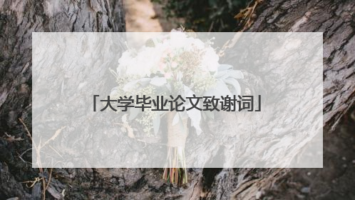 大学毕业论文致谢词