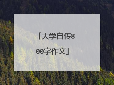 大学自传800字作文