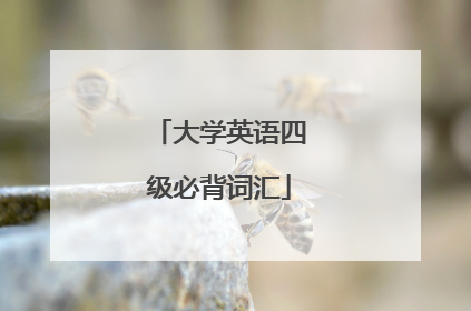 大学英语四级必背词汇