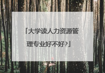 大学读人力资源管理专业好不好?