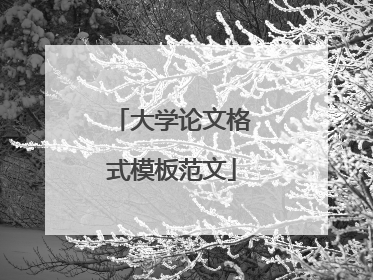 大学论文格式模板范文