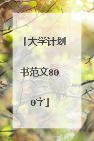 大学计划书范文800字