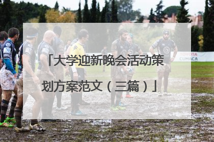 大学迎新晚会活动策划方案范文(三篇)