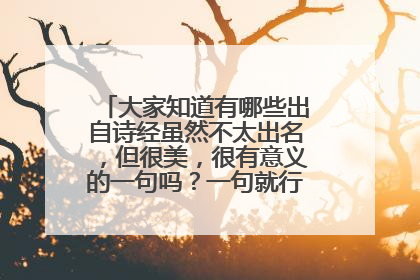 大家知道有哪些出自诗经虽然不太出名，但很美，很有意义的一句吗？一句就行，顺便解释一下。