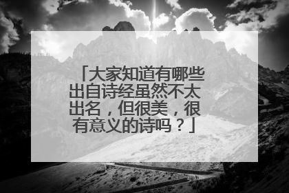 大家知道有哪些出自诗经虽然不太出名，但很美，很有意义的诗吗？