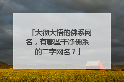 大彻大悟的佛系网名，有哪些干净佛系的二字网名？