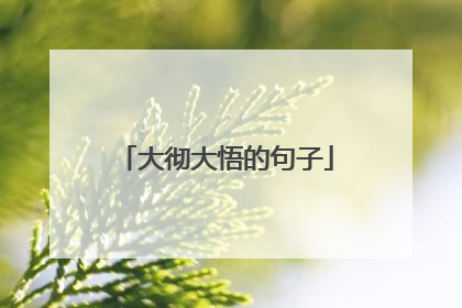 大彻大悟的句子