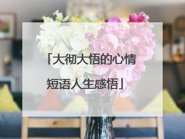 大彻大悟的心情短语人生感悟