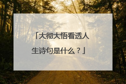 大彻大悟看透人生诗句是什么？