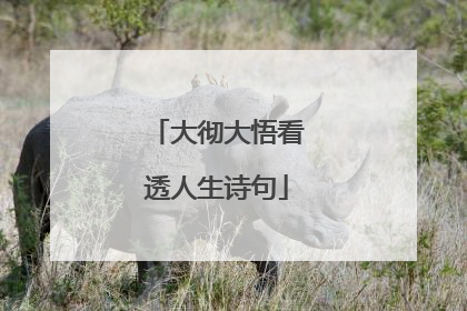 大彻大悟看透人生诗句