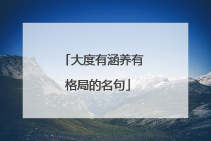 大度有涵养有格局的名句
