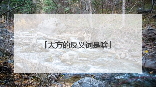 大方的反义词是啥
