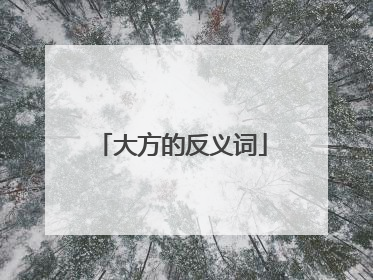 大方的反义词