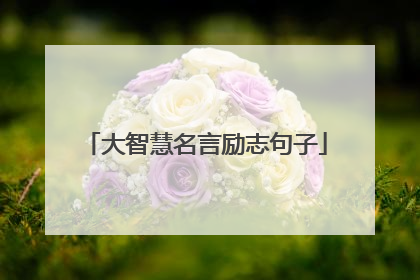 大智慧名言励志句子