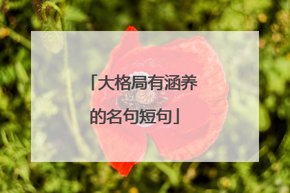 大格局有涵养的名句短句