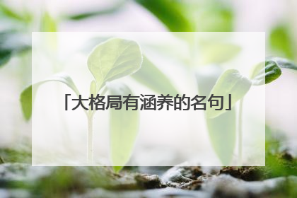 大格局有涵养的名句