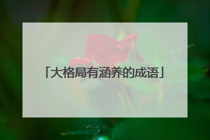 大格局有涵养的成语
