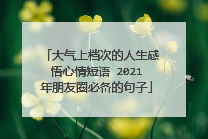 大气上档次的人生感悟心情短语 2021年朋友圈必备的句子