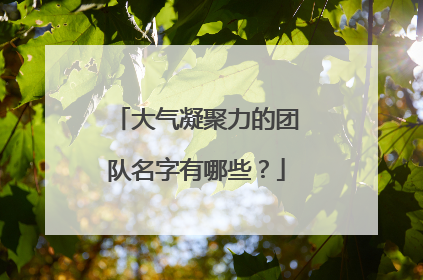 大气凝聚力的团队名字有哪些?