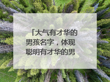 大气有才华的男孩名字，体现聪明有才华的男孩名字有哪些