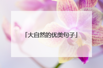 大自然的优美句子