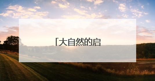 大自然的启示有哪些？