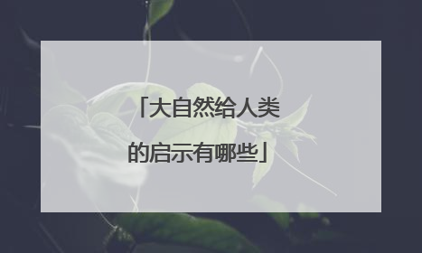 大自然给人类的启示有哪些