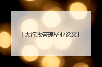 大行政管理毕业论文