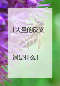 大量的反义词是什么