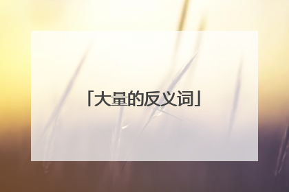大量的反义词