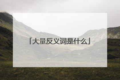 大量反义词是什么