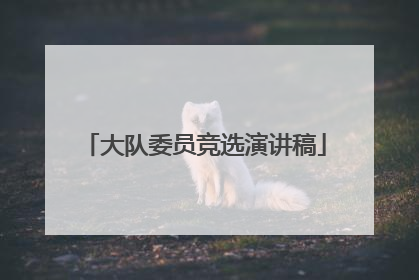 大队委员竞选演讲稿