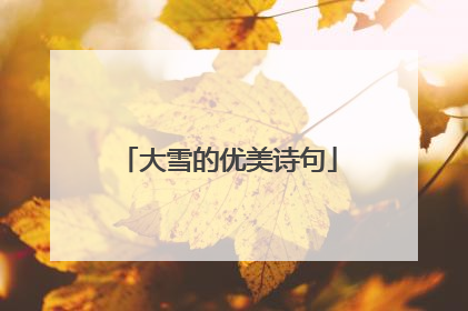 大雪的优美诗句