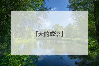 天的成语