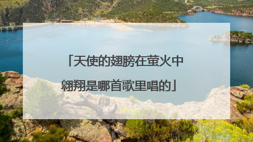 天使的翅膀在萤火中翱翔是哪首歌里唱的
