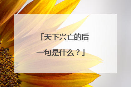 天下兴亡的后一句是什么?