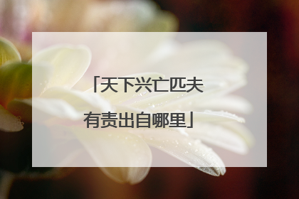 天下兴亡匹夫有责出自哪里