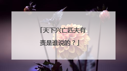 天下兴亡匹夫有责是谁说的?