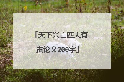 天下兴亡匹夫有责论文200字