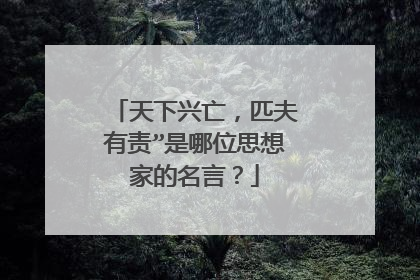 天下兴亡,匹夫有责”是哪位思想家的名言?
