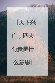 天下兴亡，匹夫有责是什么意思