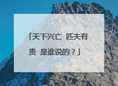 天下兴亡 匹夫有责 是谁说的?