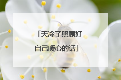 天冷了照顾好自己暖心的话