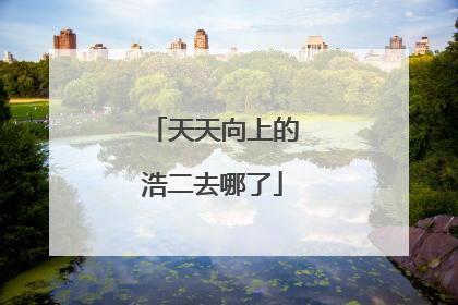天天向上的浩二去哪了