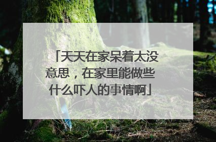天天在家呆着太没意思，在家里能做些什么吓人的事情啊